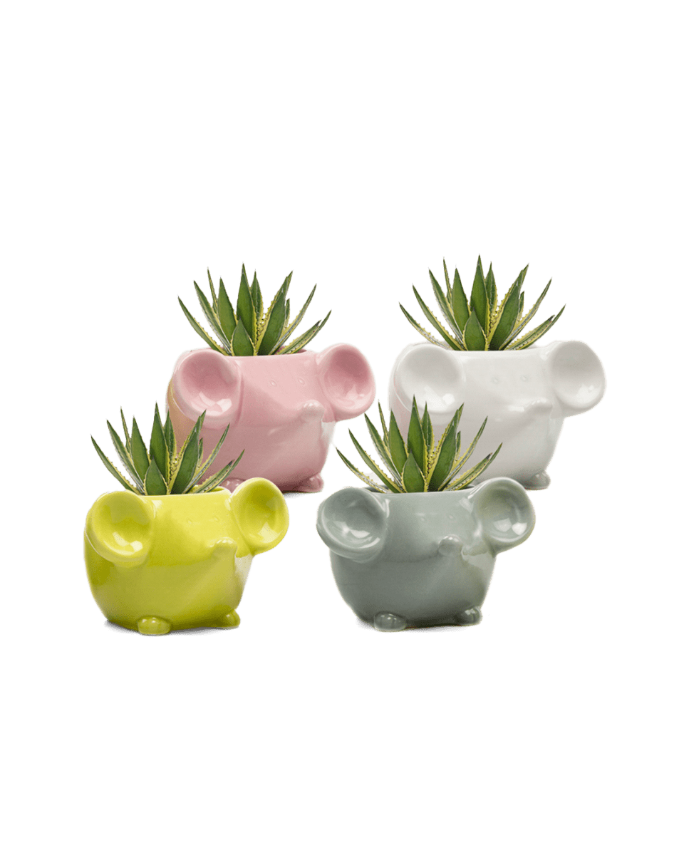 Mouse Ceramic Indoor Plant Pot Kit - Chive UK Wholesale