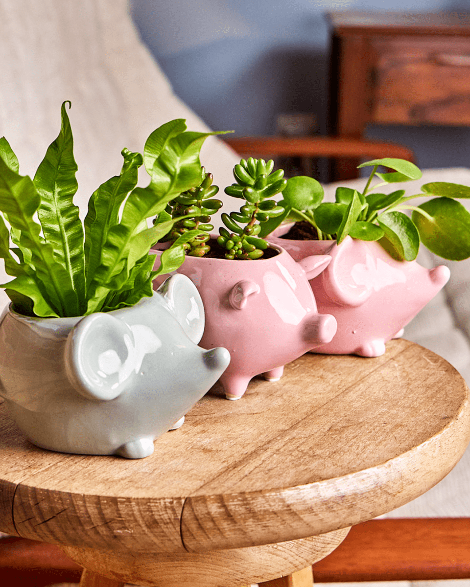 Mouse Ceramic Indoor Plant Pot For Succulents - Chive UK Wholesale