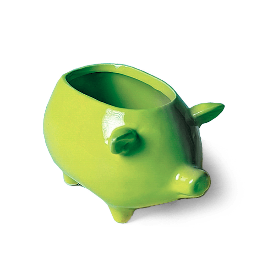 Pig Ceramic Indoor Plant Pot For Succulents - Chive UK Wholesale