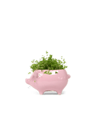 Pig Ceramic Indoor Plant Pot Kit - Chive UK Wholesale
