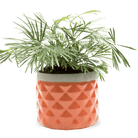 Pina Ceramic Succulent Planter Pot - Chive UK Wholesale