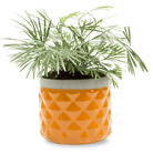 Pina Ceramic Succulent Planter Pot - Chive UK Wholesale