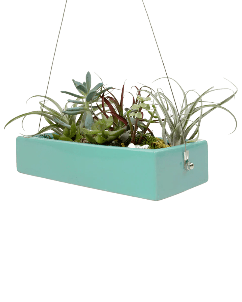 Ragna Ceramic Hanging Planter Kit - Chive UK Wholesale