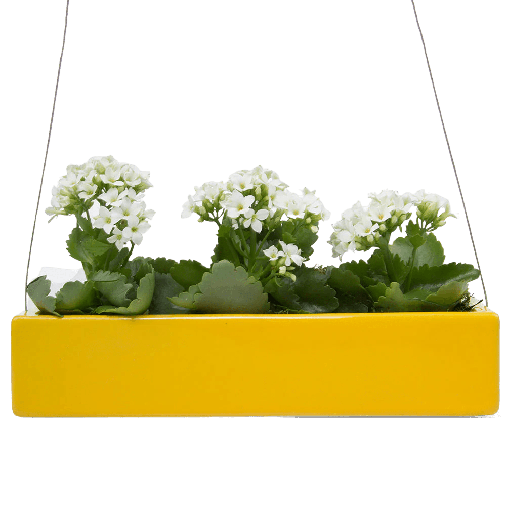 Ragna Ceramic Hanging Planter - Chive UK Wholesale