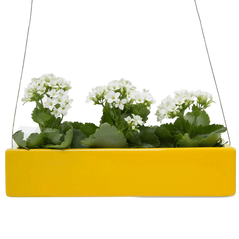 Ragna Ceramic Hanging Planter Kit - Chive UK Wholesale