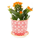 Liberte Porcelain Pot And Saucer Set With Drainage - Chive UK Wholesale