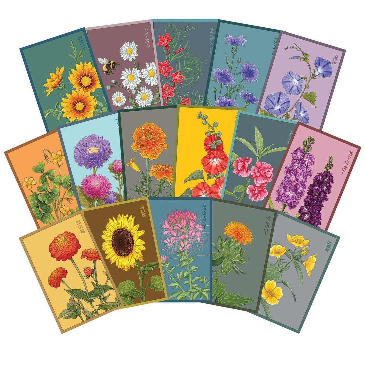 Flower Seeds Packets - 96pc Assortment 1 - Chive UK Wholesale