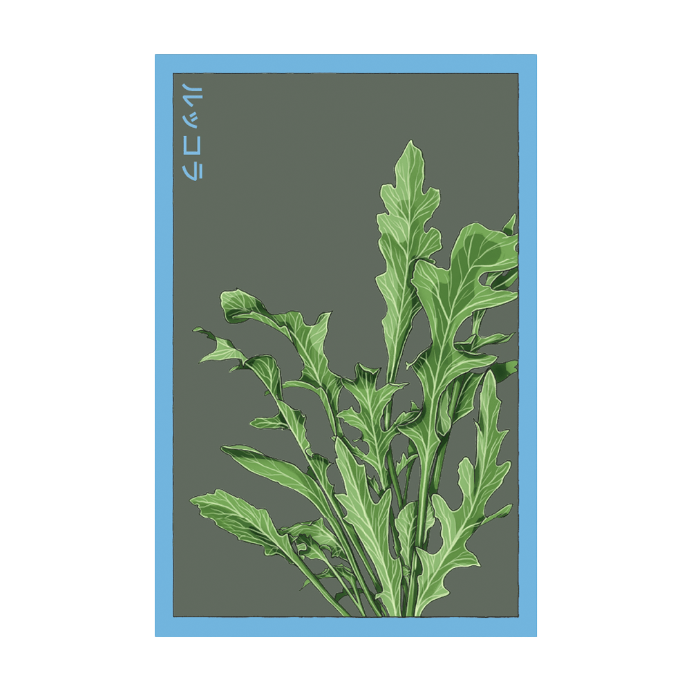 Arugula Vegetable Seeds Packet - Chive UK Wholesale