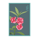 Pink Rose Balsam Flower Seeds Packet - Chive UK Wholesale