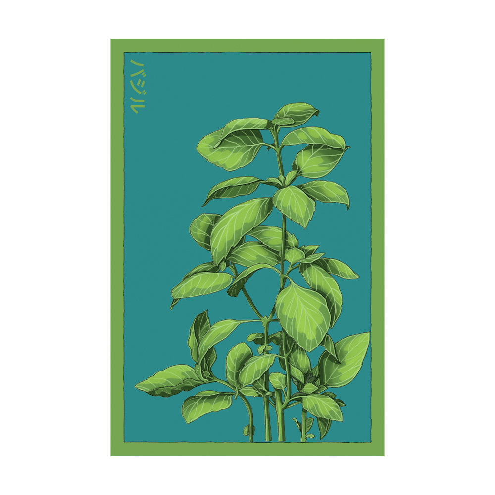 Basil Herb Seeds Packet - Chive UK Wholesale