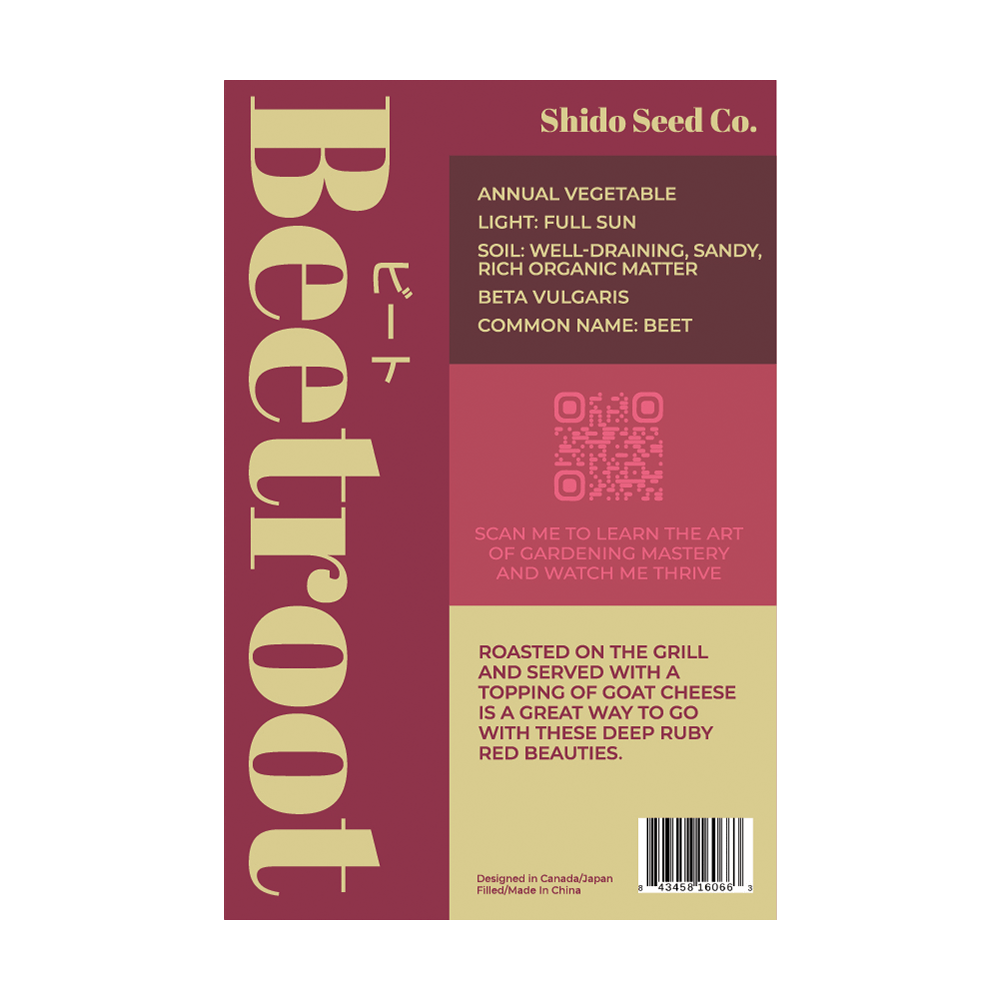 Beet Vegetable Seeds Packet - Chive UK Wholesale