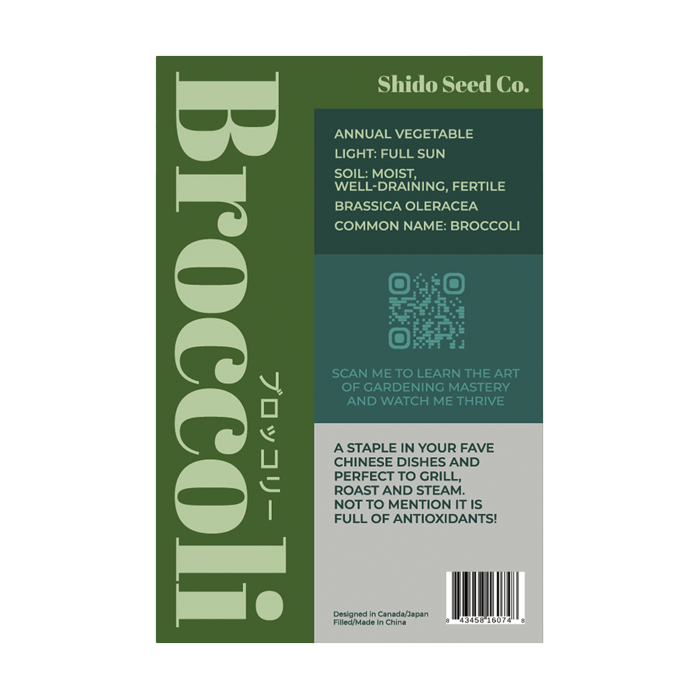 Broccoli Vegetable Seeds Packet - Chive UK Wholesale