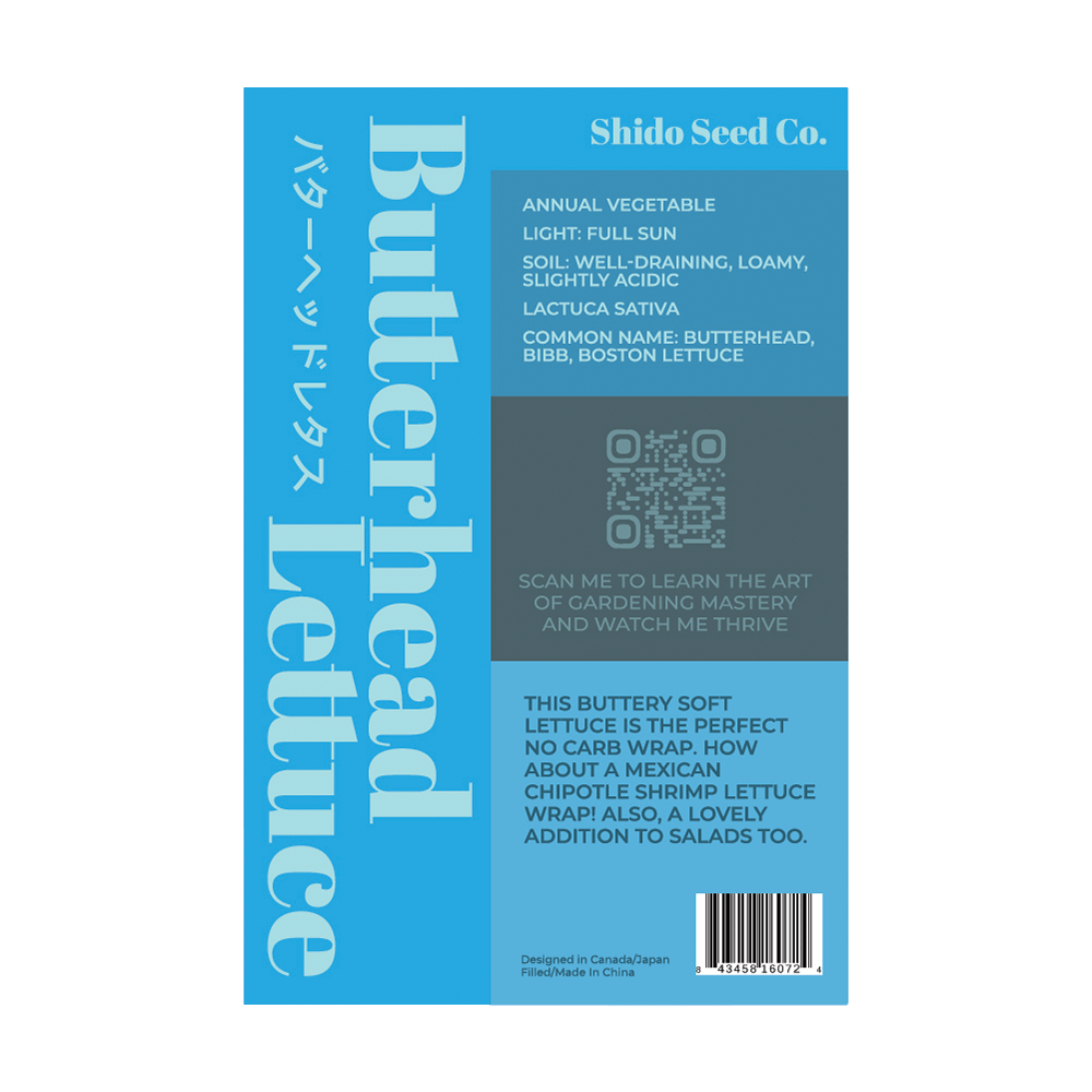 Butterhead Lettuce Vegetable Seeds Packet - Chive UK Wholesale