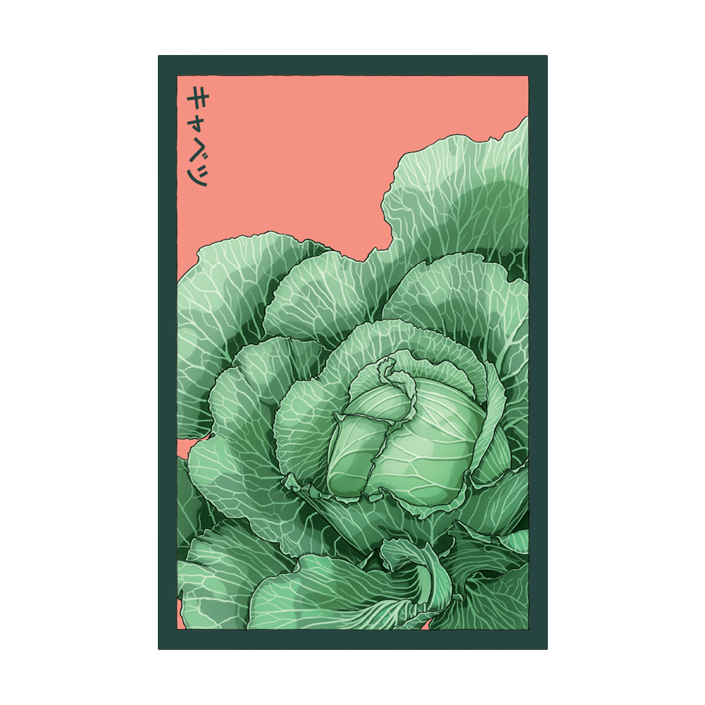 Cabbage Vegetable Seeds Packet - Chive UK Wholesale