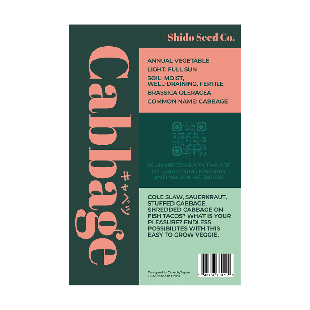 Cabbage Vegetable Seeds Packet - Chive UK Wholesale
