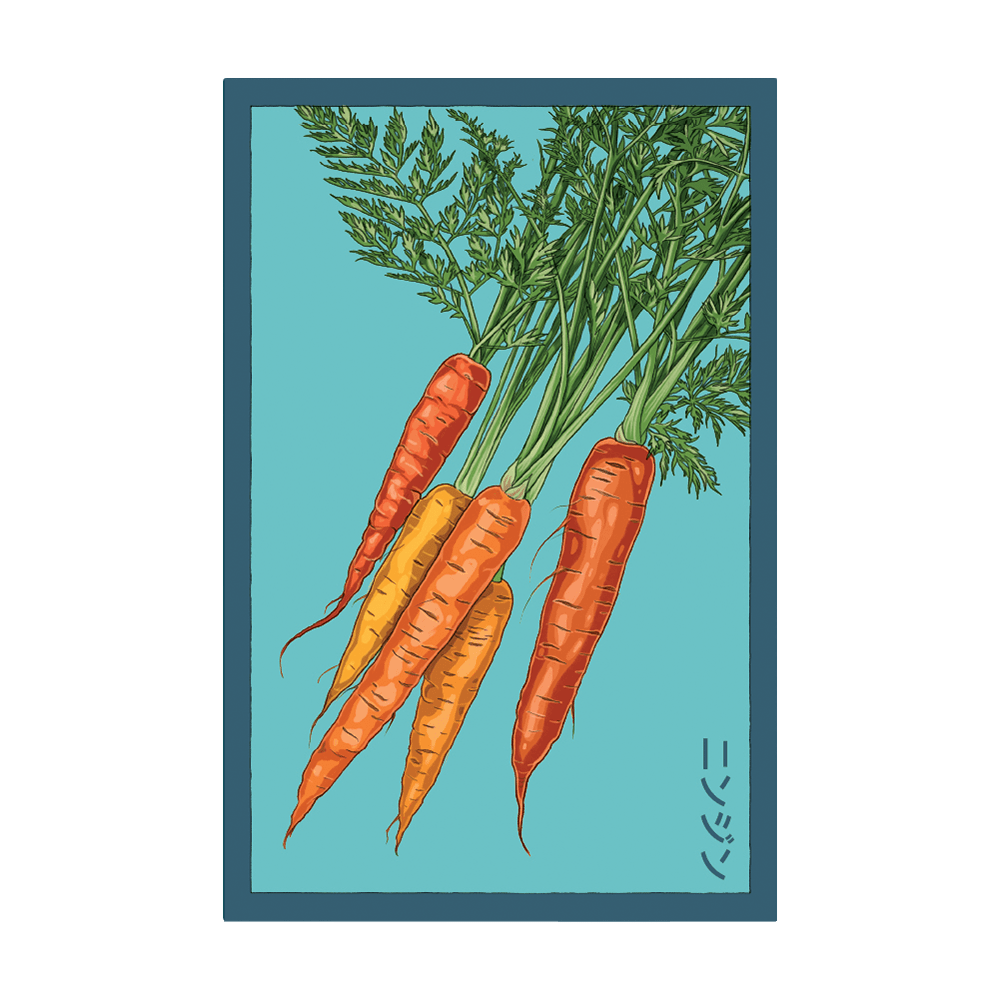 Carrot Vegetable Seeds Packet - Chive UK Wholesale