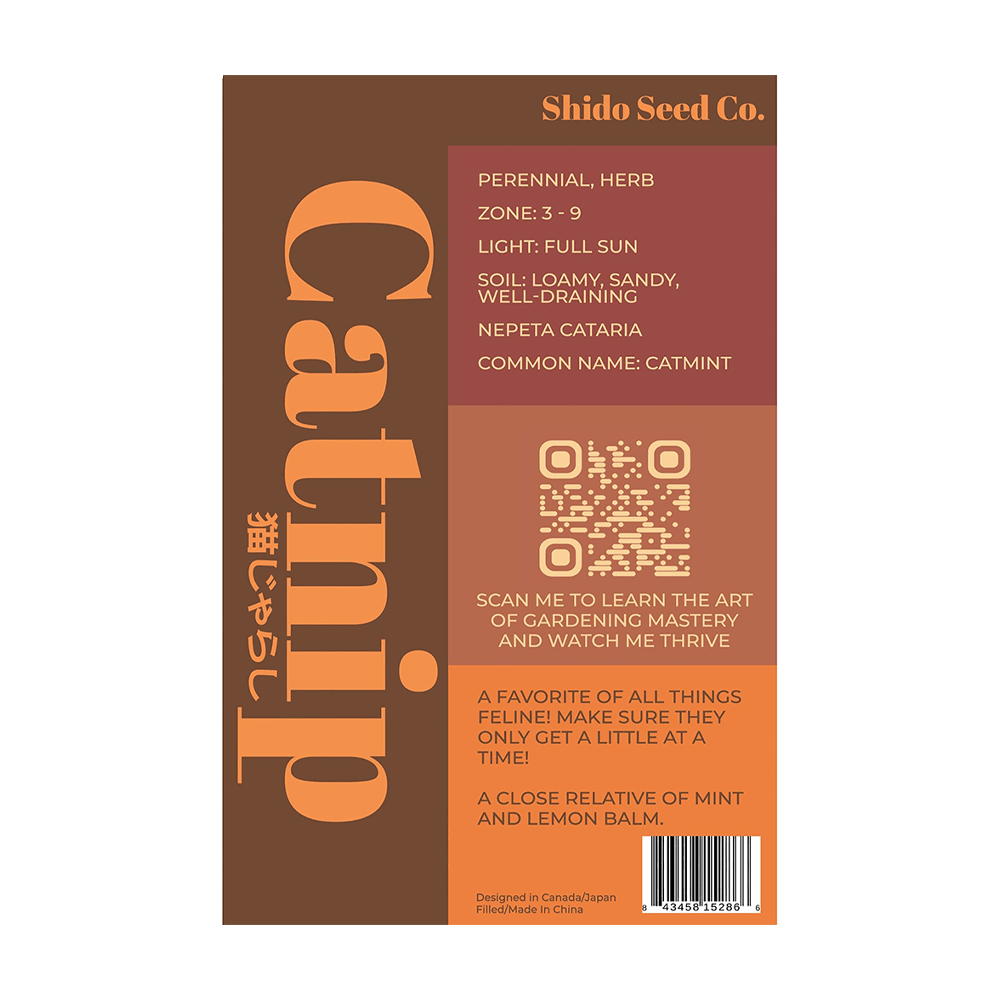 Catnip Flower Seeds Packet - Chive UK Wholesale