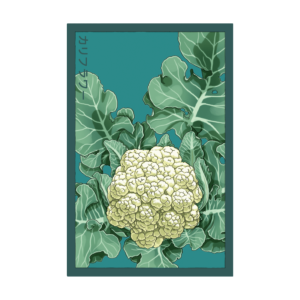 Cauliflower Vegetable Seeds Packet - Chive UK Wholesale