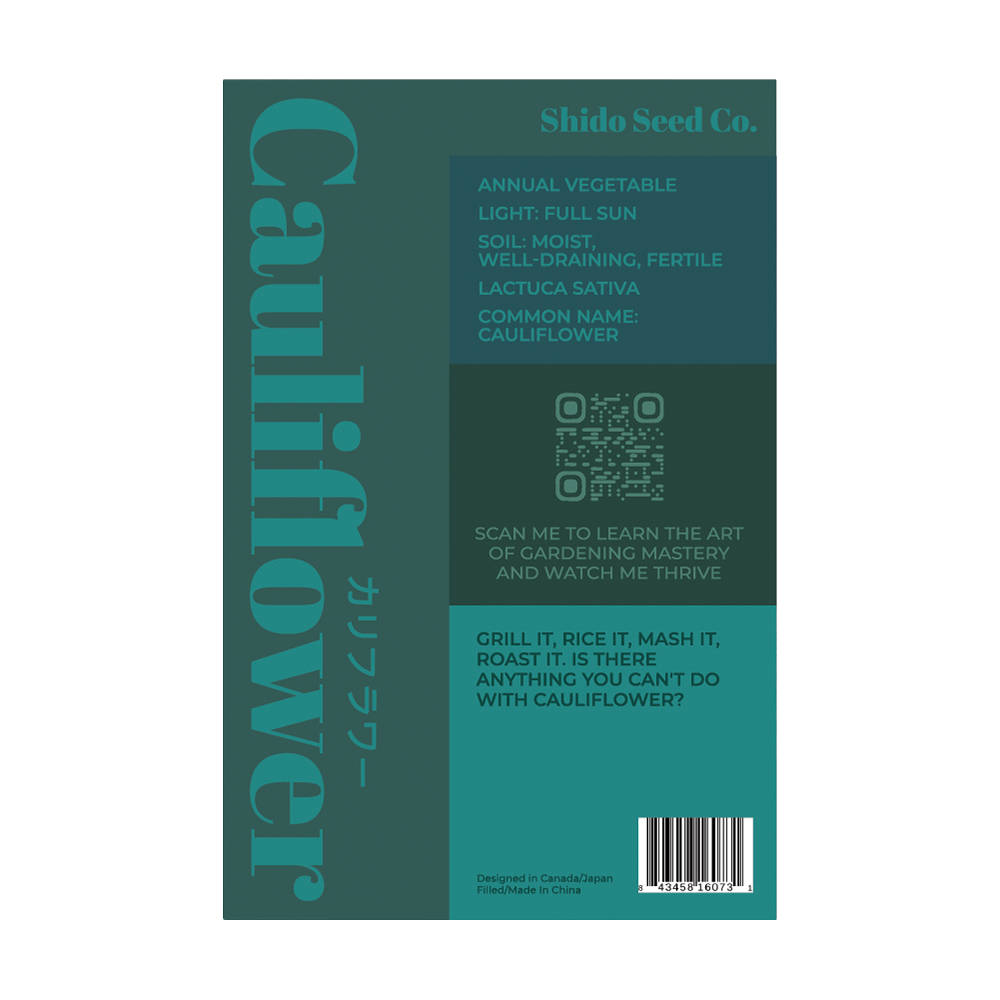 Cauliflower Vegetable Seeds Packet - Chive UK Wholesale