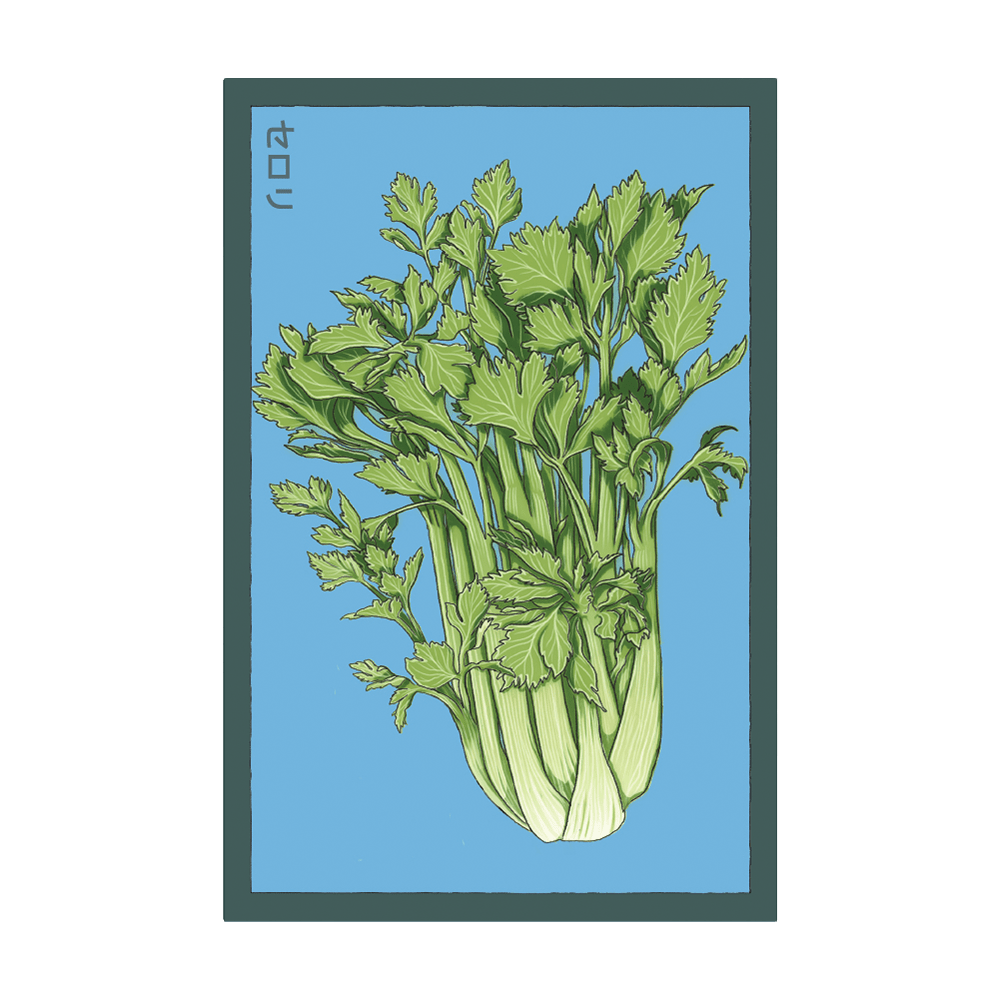 Celery Vegetable Seeds Packet - Chive UK Wholesale