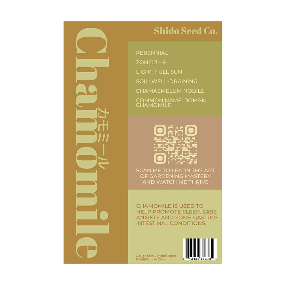 Chamomile Flower Seeds Packet - Chive UK Wholesale