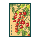 Cherry Tomato Vegetable Seeds Packet - Chive UK Wholesale