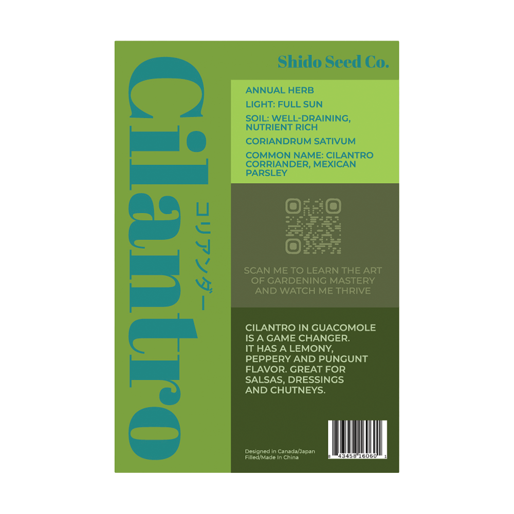 Cilantro Herb Seeds Packet - Chive UK Wholesale
