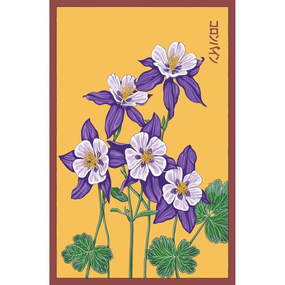 Columbine Flower Seeds Packet - Chive UK Wholesale