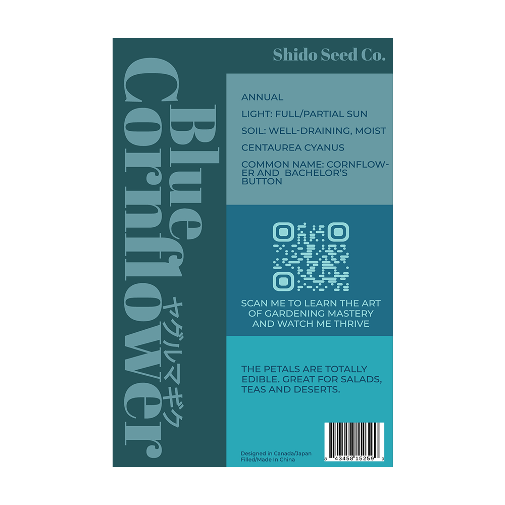 Blue Cornflower Flower Seeds Packet - Chive UK Wholesale