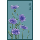 Blue Cornflower Flower Seeds Packet - Chive UK Wholesale