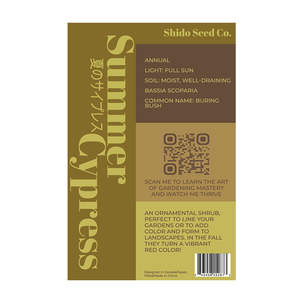 Summer Cypress Flower Seeds Packet - Chive UK Wholesale