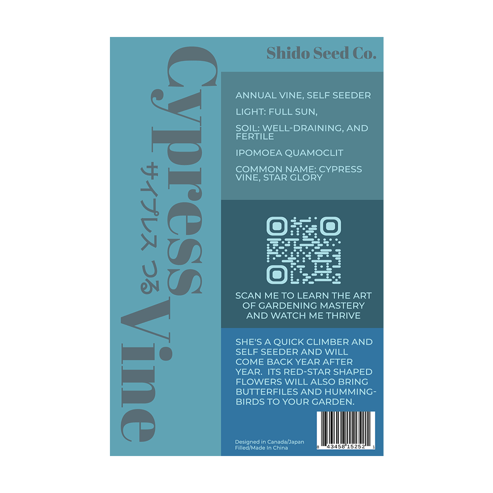 Cypressvine Star Glory Flower Seeds Packet - Chive UK Wholesale