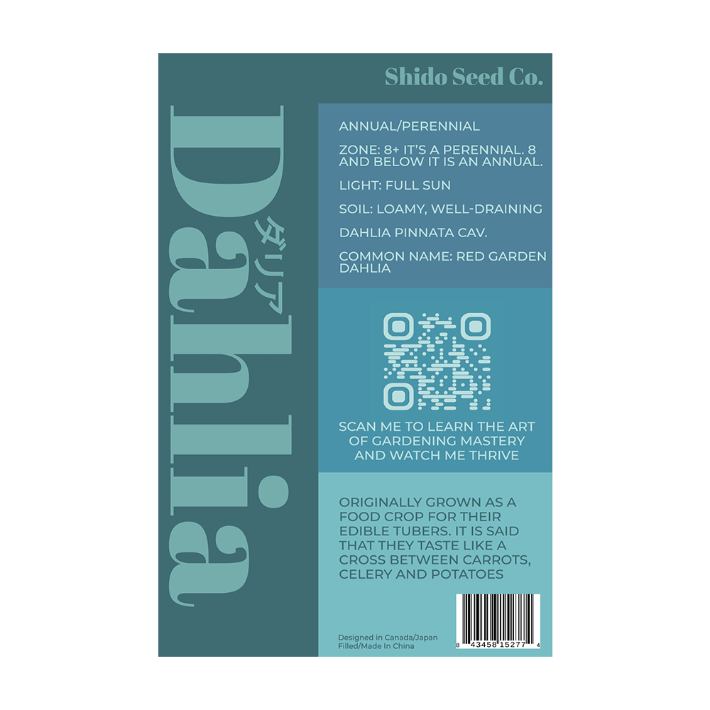 Dahlia Flower Seeds Packet - Chive UK Wholesale