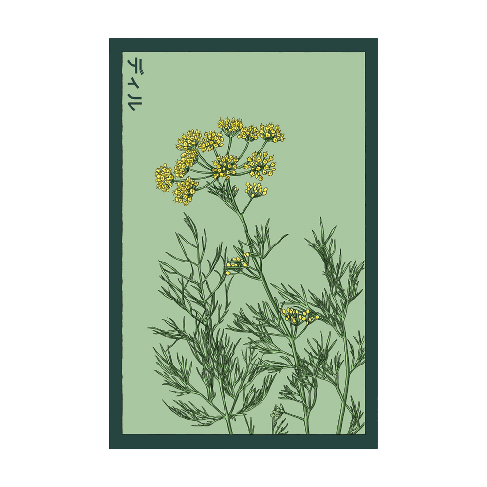 Dill Herb Seeds Packet - Chive UK Wholesale