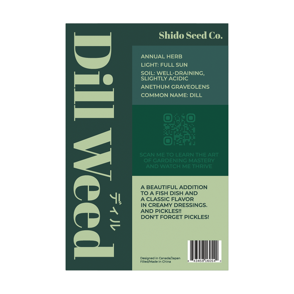 Dill Herb Seeds Packet - Chive UK Wholesale