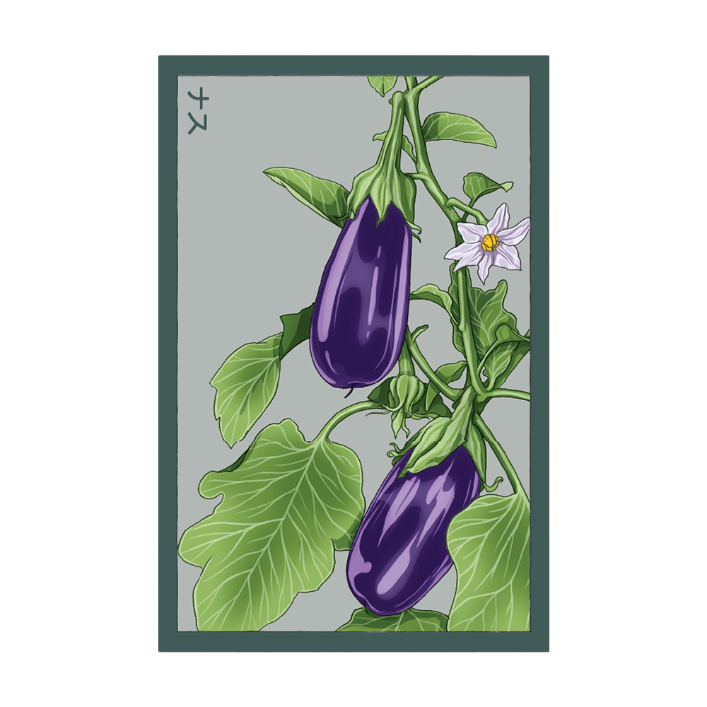 Eggplant Vegetable Seeds Packet - Chive UK Wholesale