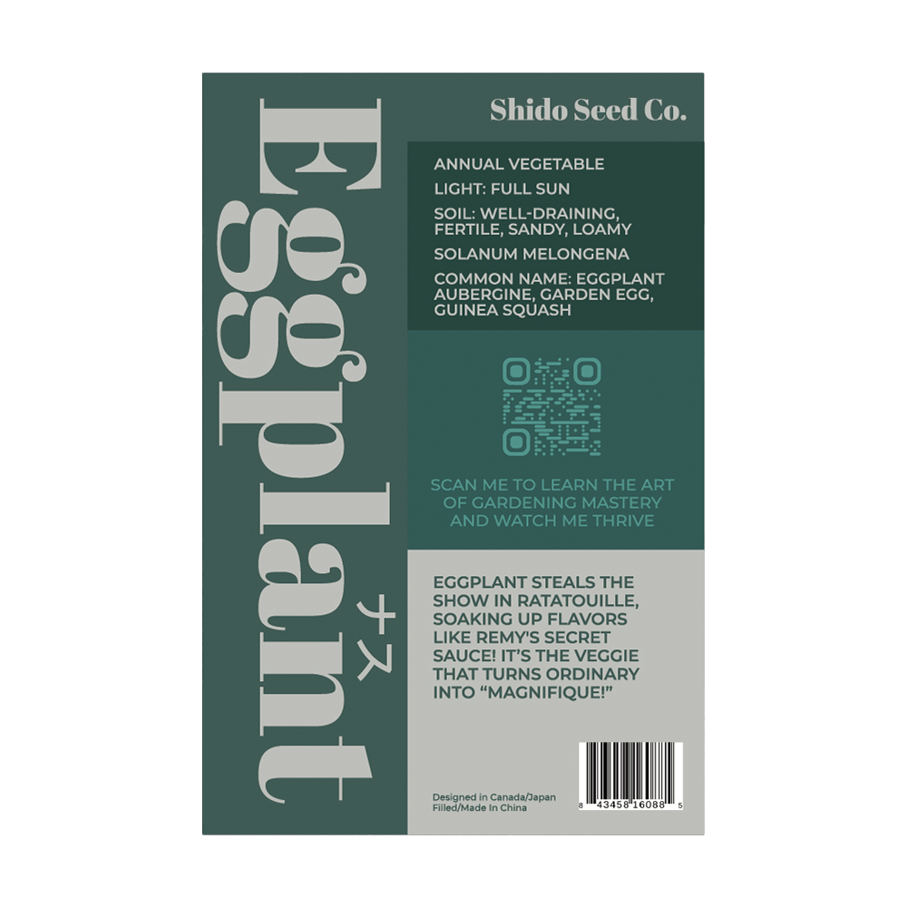 Eggplant Vegetable Seeds Packet - Chive UK Wholesale
