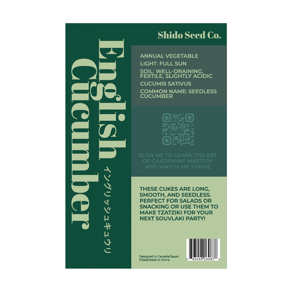 English Cucumber Vegetable Seeds Packet - Chive UK Wholesale