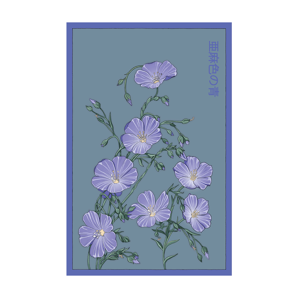 Flax Blue Flower Seeds Packet - Chive UK Wholesale