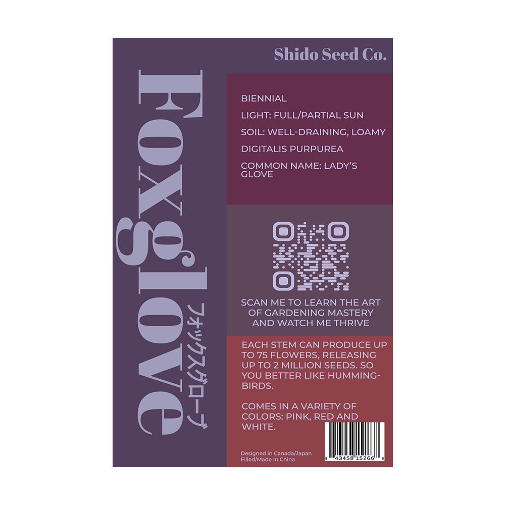 Foxglove Flower Seeds Packet - Chive UK Wholesale