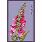 Foxglove Flower Seeds Packet - Chive UK Wholesale