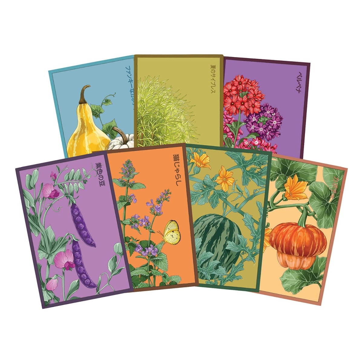 Funky Seeds Packets - 48 Assorted - Chive UK Wholesale