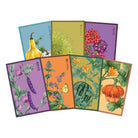 Funky Seeds Packets - 48 Assorted - Chive UK Wholesale