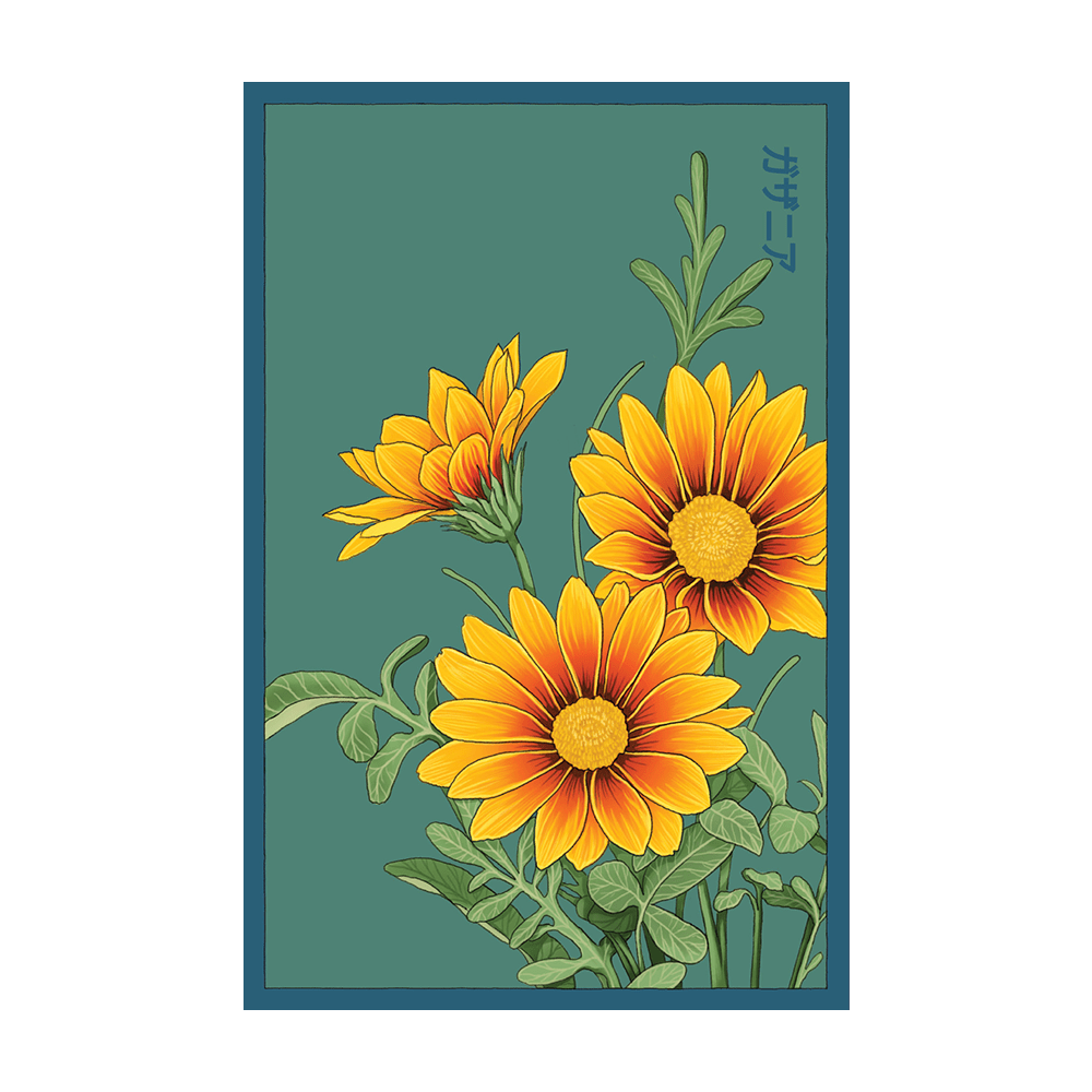 Gazania Flower Seeds Packet - Chive UK Wholesale