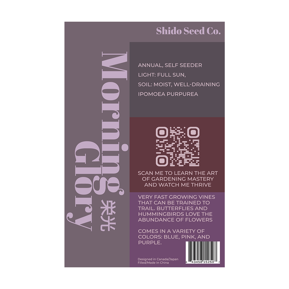 Morning Glory Flower Seeds Packet - Chive UK Wholesale