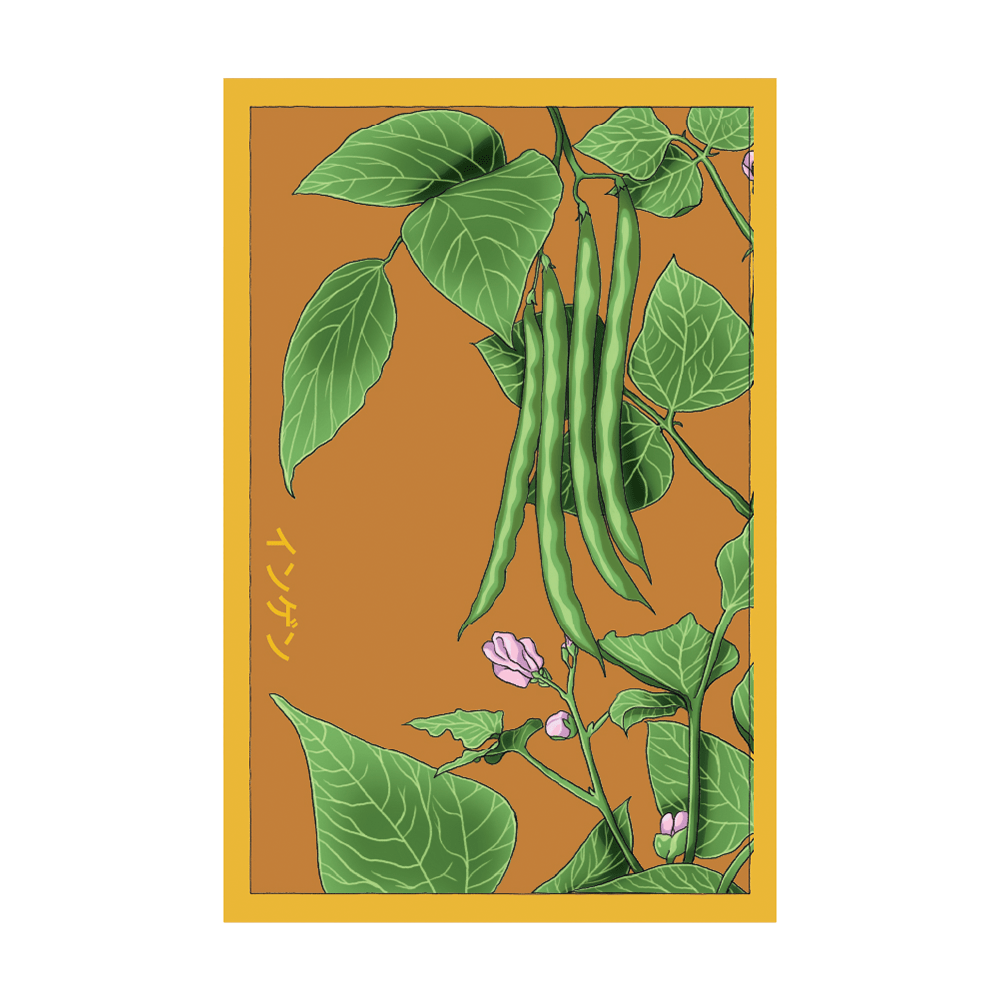 Green Beans Vegetable Seeds Packet - Chive UK Wholesale