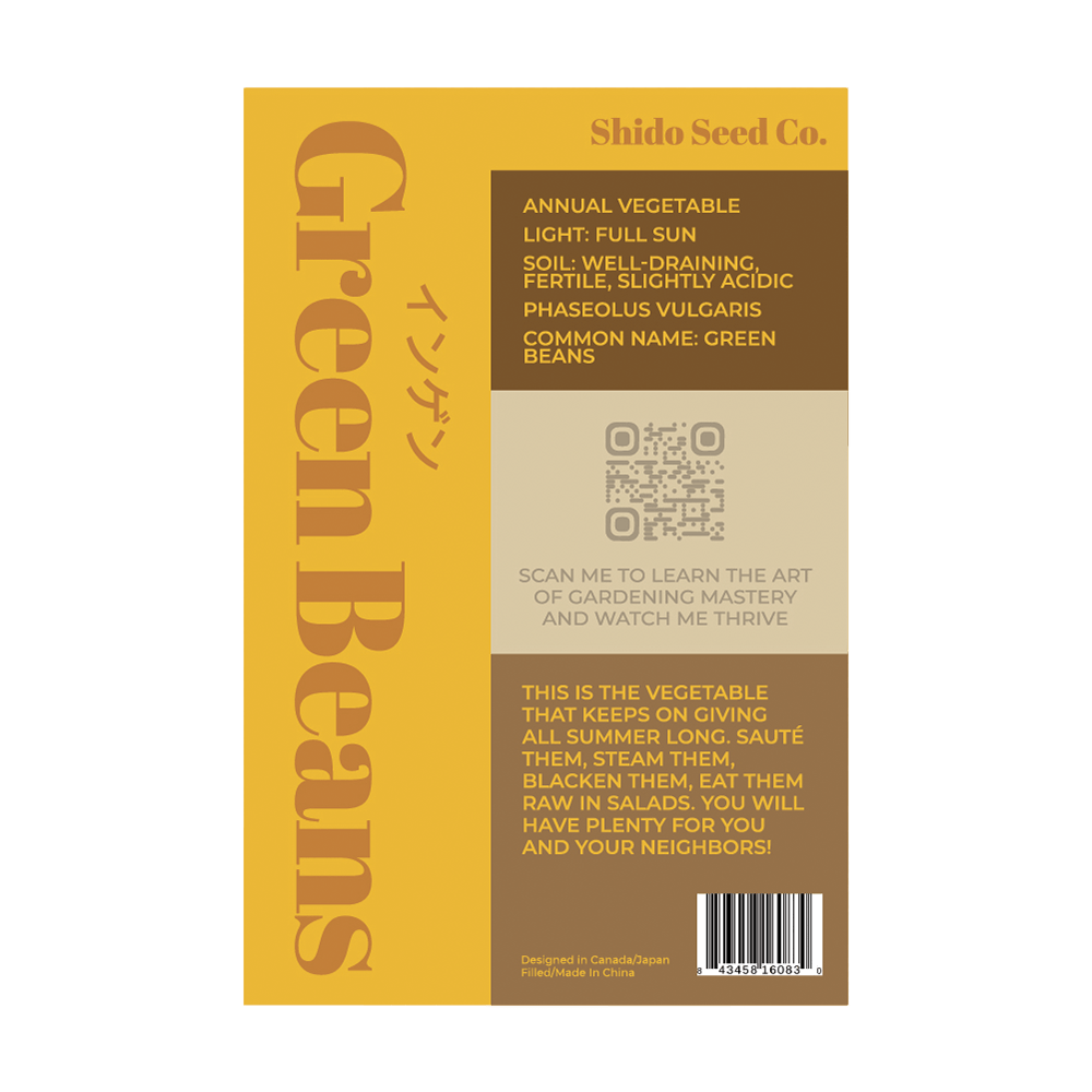 Green Beans Vegetable Seeds Packet - Chive UK Wholesale