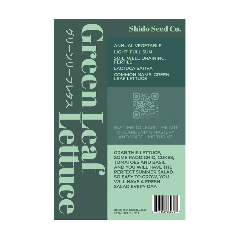 Green Leaf Lettuce Vegetable Seeds Packet - Chive UK Wholesale