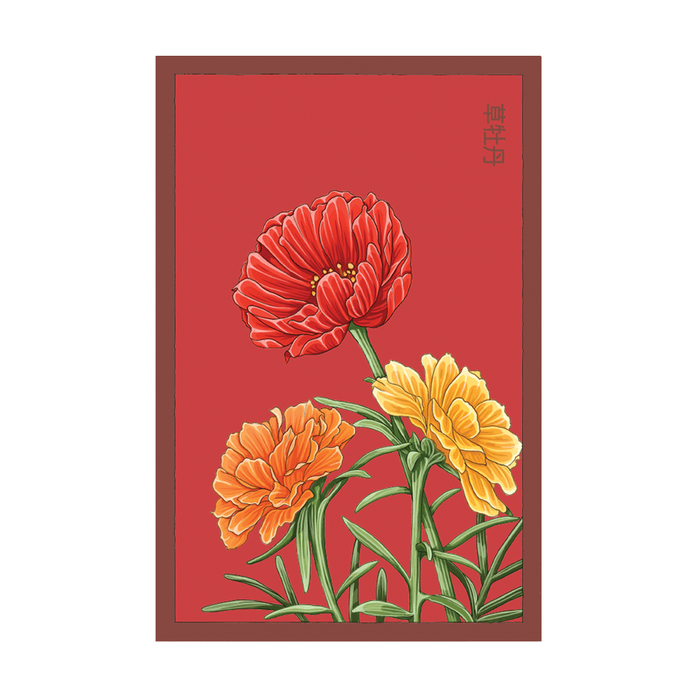 Herbaceous Peony Flower Seeds Packet - Chive UK Wholesale