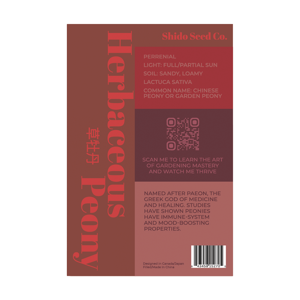 Herbaceous Peony Flower Seeds Packet - Chive UK Wholesale